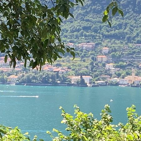 Apartment Casa Dono Il Lago Pognana Lario Zewnętrze zdjęcie