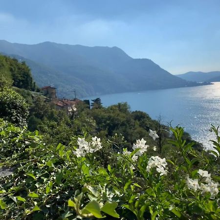 Apartment Casa Dono Il Lago Pognana Lario Zewnętrze zdjęcie