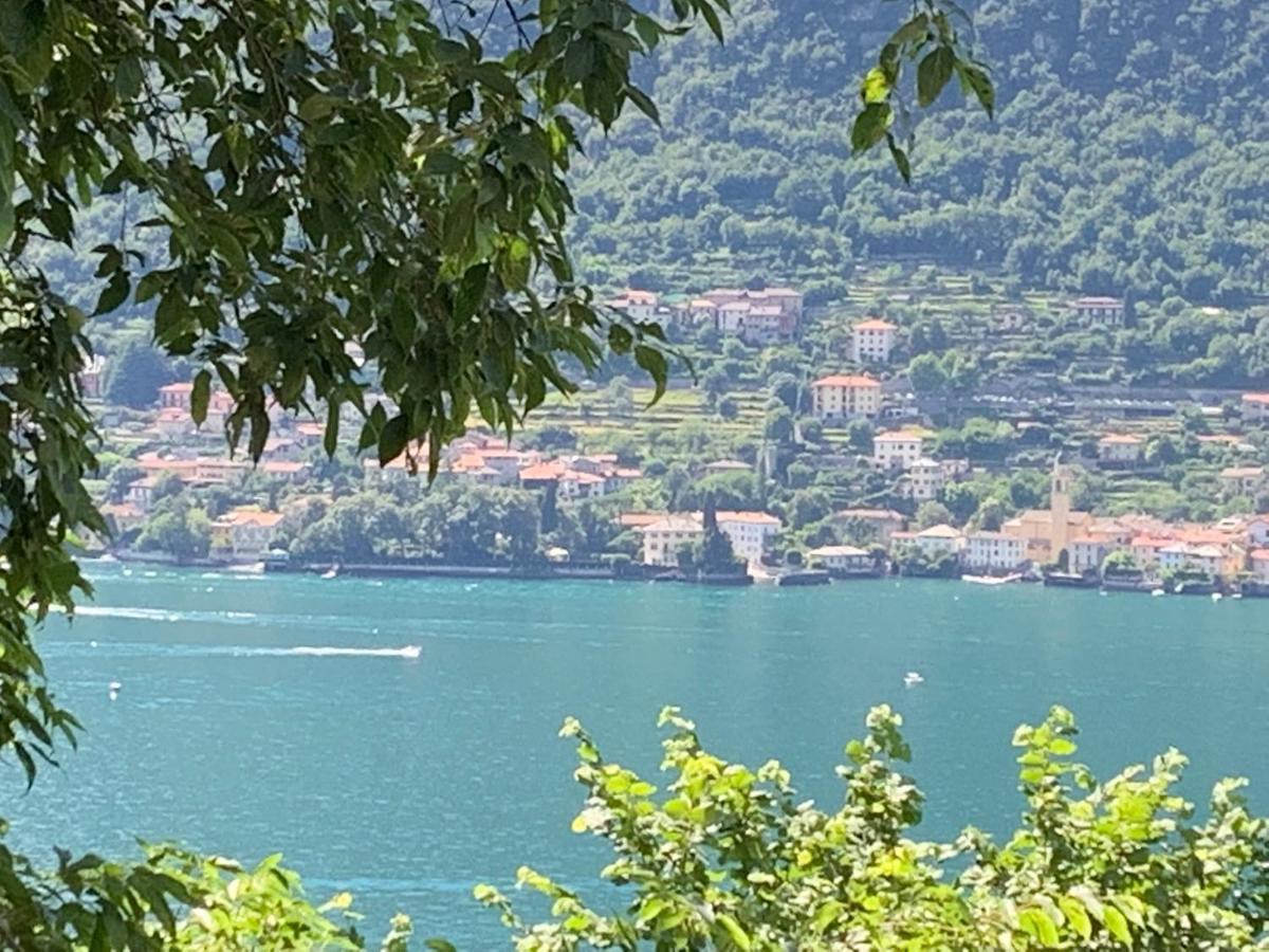Apartment Casa Dono Il Lago Pognana Lario Zewnętrze zdjęcie