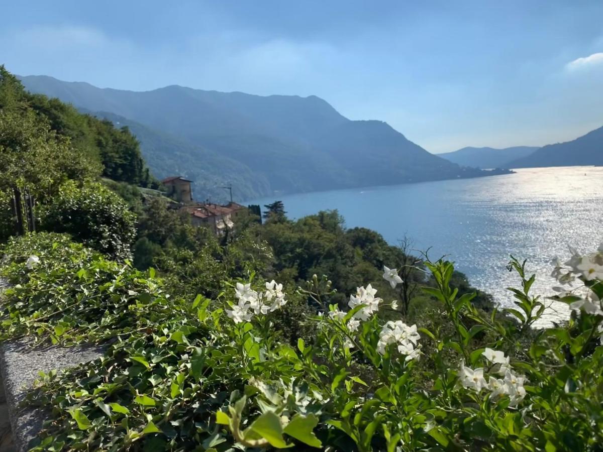 Apartment Casa Dono Il Lago Pognana Lario Zewnętrze zdjęcie