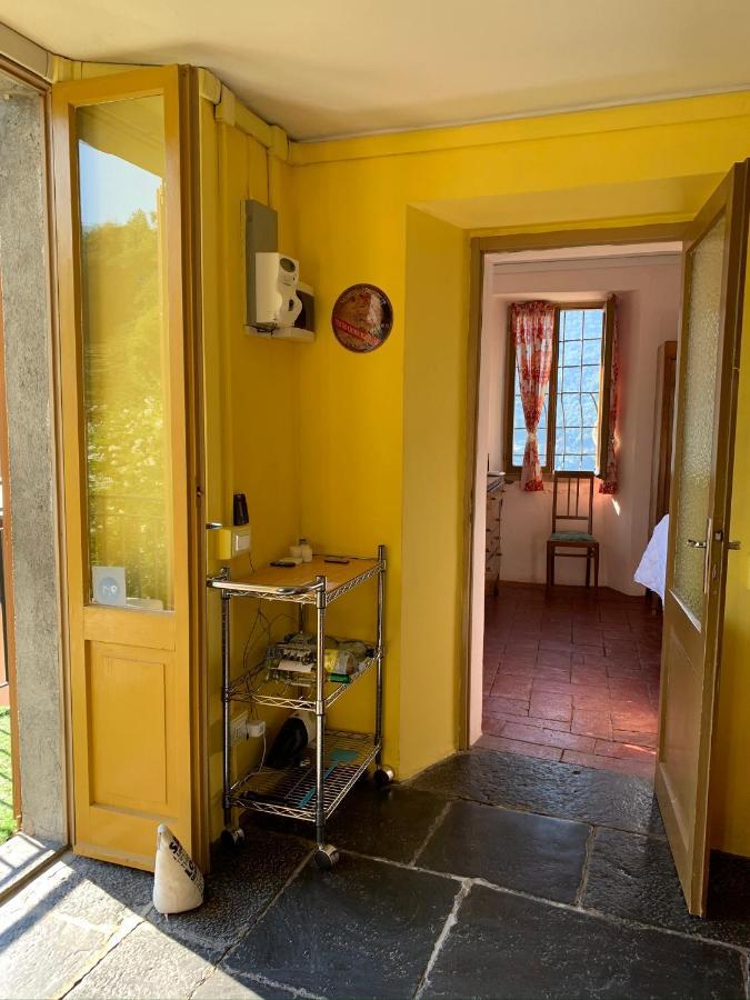 Apartment Casa Dono Il Lago Pognana Lario Zewnętrze zdjęcie