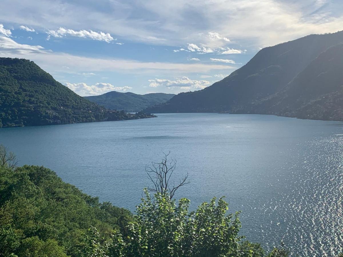 Apartment Casa Dono Il Lago Pognana Lario Zewnętrze zdjęcie