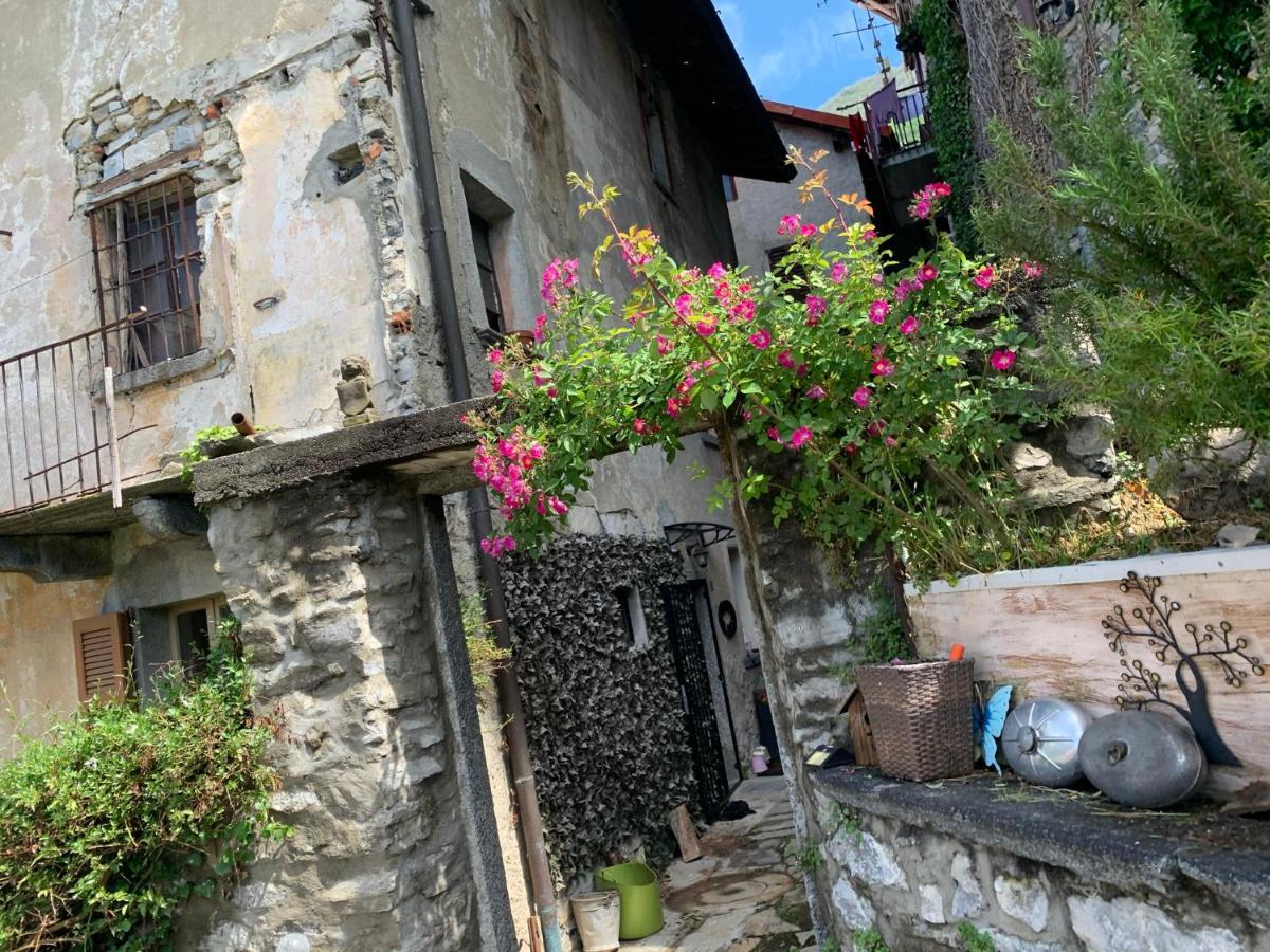 Apartment Casa Dono Il Lago Pognana Lario Zewnętrze zdjęcie