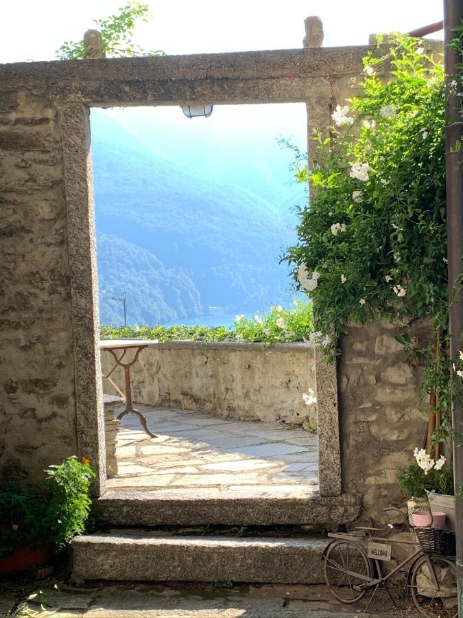 Apartment Casa Dono Il Lago Pognana Lario Zewnętrze zdjęcie