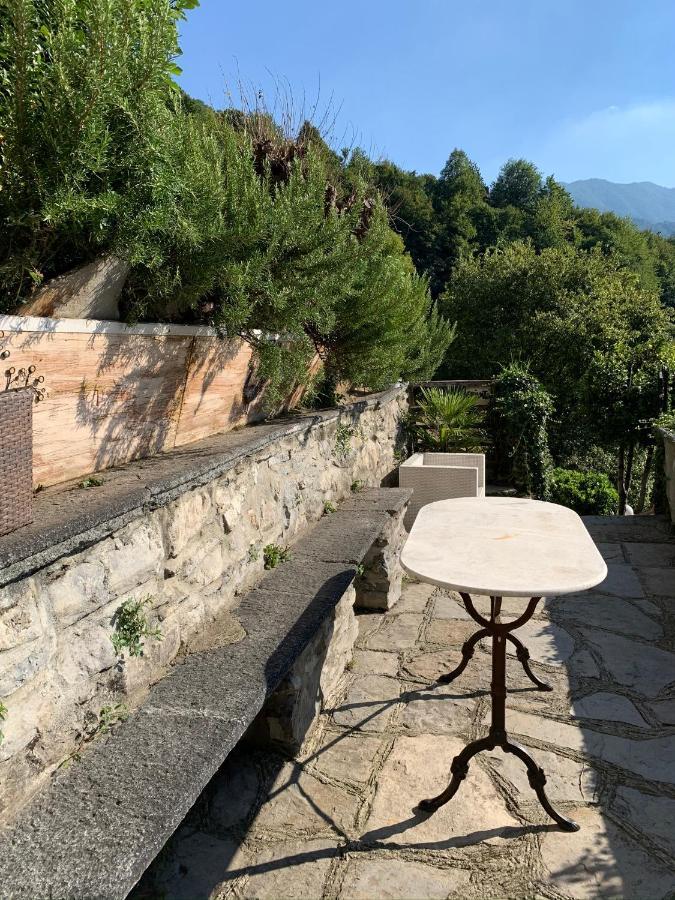 Apartment Casa Dono Il Lago Pognana Lario Zewnętrze zdjęcie