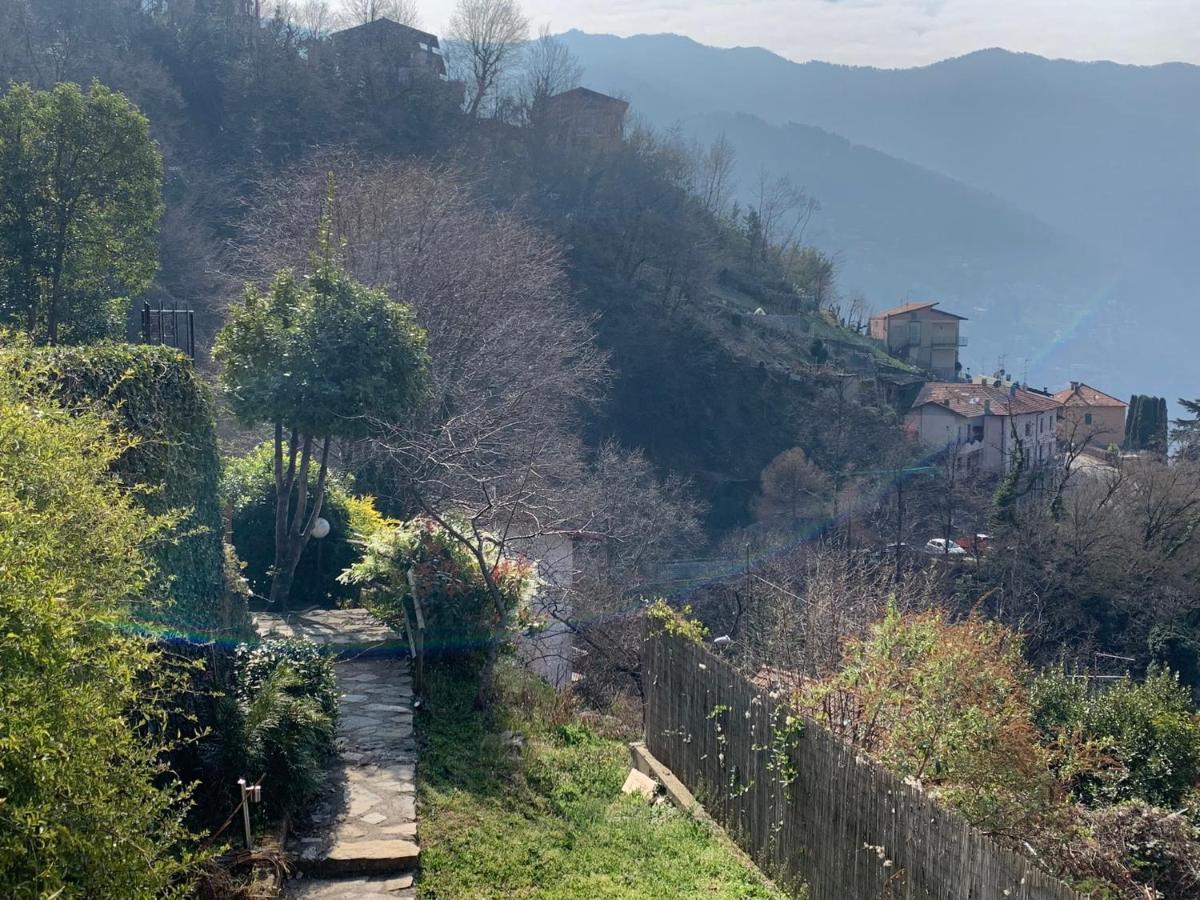 Apartment Casa Dono Il Lago Pognana Lario Zewnętrze zdjęcie