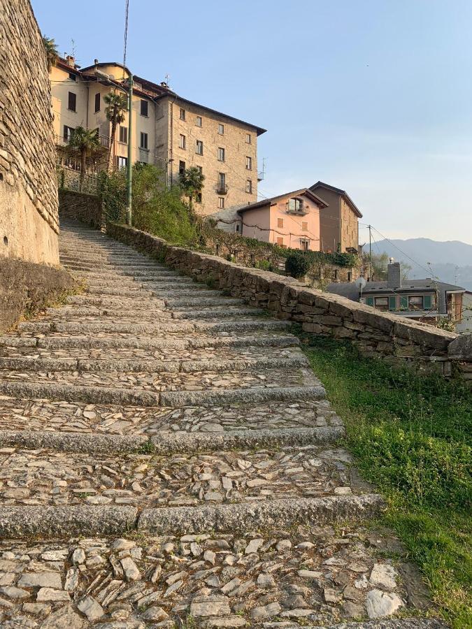 Apartment Casa Dono Il Lago Pognana Lario Zewnętrze zdjęcie
