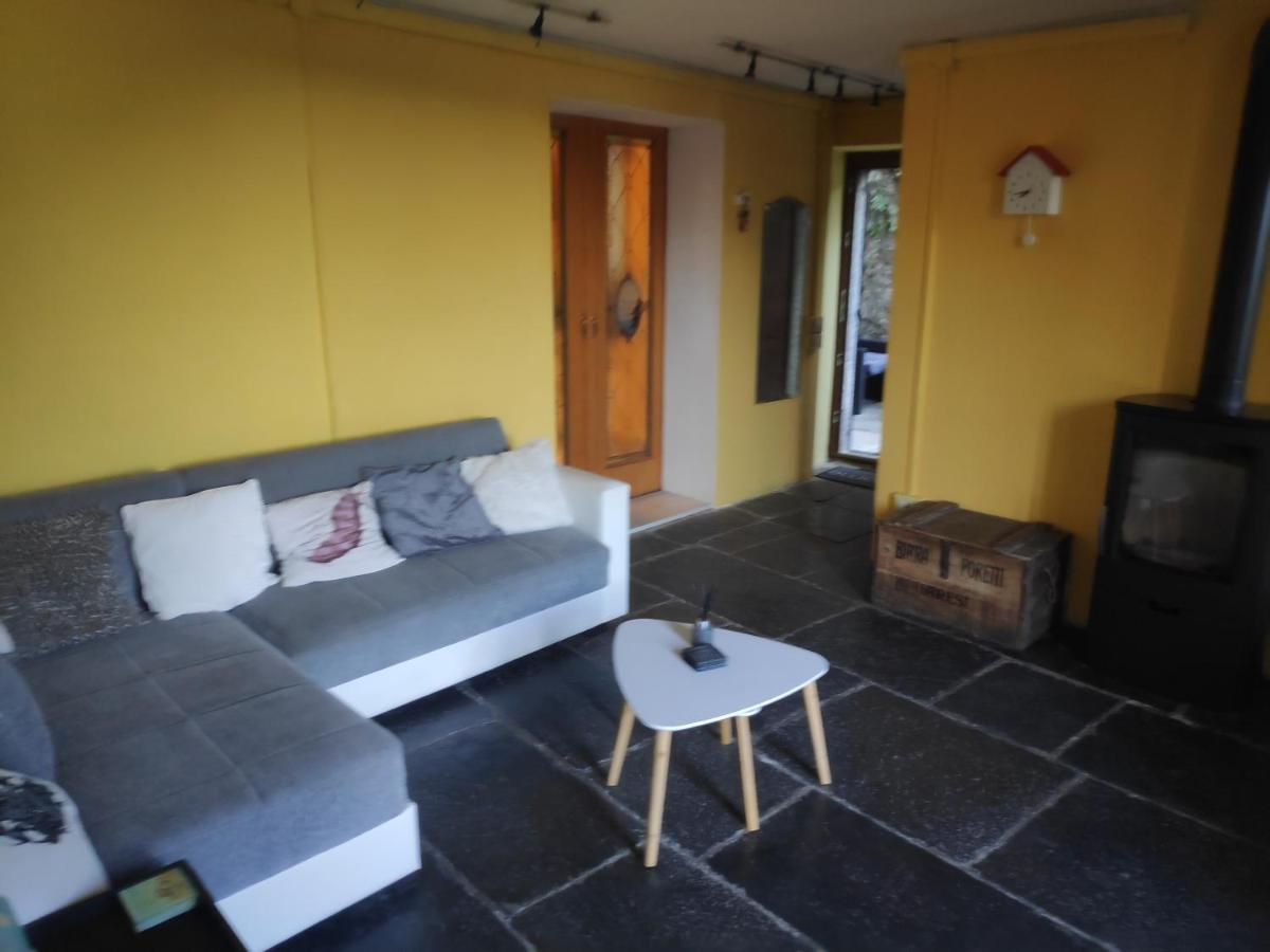 Apartment Casa Dono Il Lago Pognana Lario Zewnętrze zdjęcie