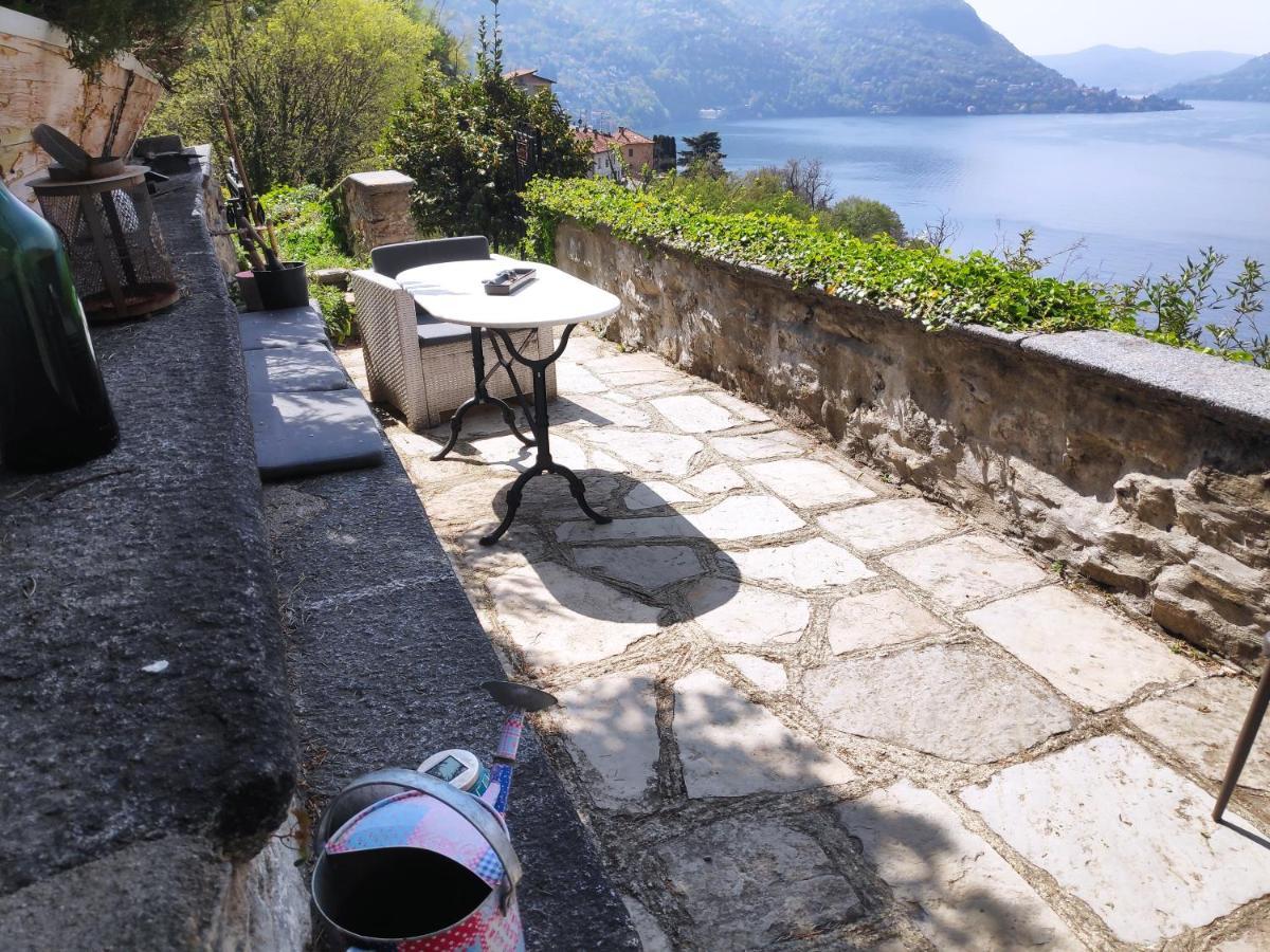 Apartment Casa Dono Il Lago Pognana Lario Zewnętrze zdjęcie